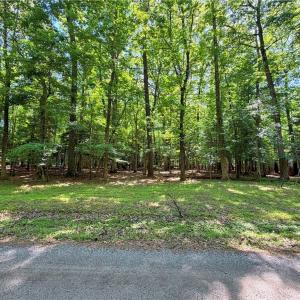Photo #2 of LOT 11 Longwood Drive, Smithfield, Virginia 0.5 acres