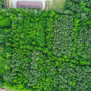 Photo #11 of 25+AC Military Highway, Chesapeake, Virginia 25.8 acres