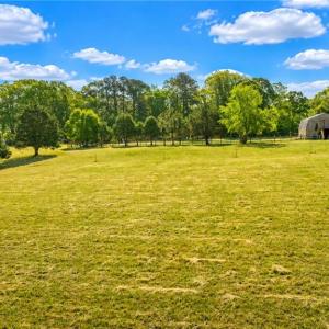 Horse paddock