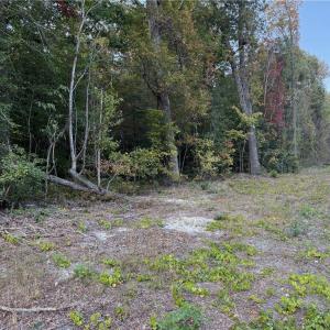 Mainly wooded lot