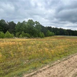 Photo #3 of 5296 Riverview Road, Williamsburg, Virginia 3.8 acres