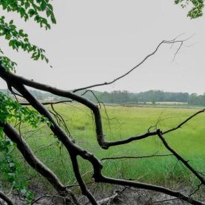 Photo #1 of 1350 Moyer Road, Newport News, Virginia 3.4 acres