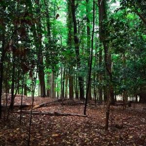Photo #12 of 1350 Moyer Road, Newport News, Virginia 3.4 acres