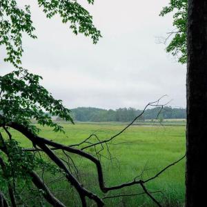 Photo #16 of 1350 Moyer Road, Newport News, Virginia 3.4 acres