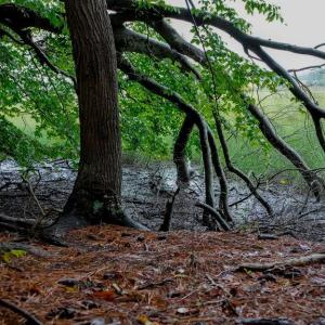 Photo #17 of 1350 Moyer Road, Newport News, Virginia 3.4 acres