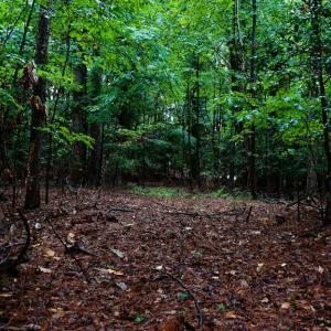 Photo #5 of 1350 Moyer Road, Newport News, Virginia 3.4 acres