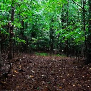 Photo #6 of 1350 Moyer Road, Newport News, Virginia 3.4 acres