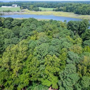 Photo #30 of 1350 Moyer Road, Newport News, Virginia 3.4 acres