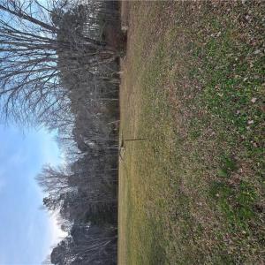 Photo #1 of 171 Crafford Road, Newport News, Virginia 3.4 acres
