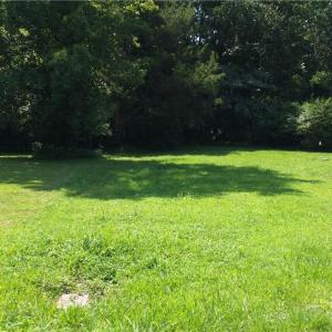 Photo #1 of 108 Pine Street, Wakefield, Virginia 0.2 acres