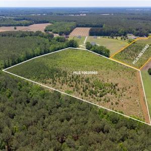16.03 AC Lot with available adjacent 9.77 AC lot outlined in orange