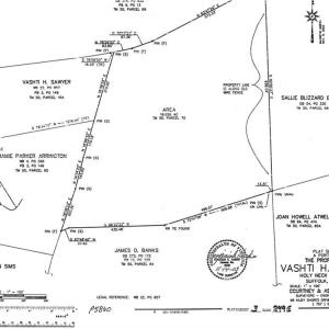Photo #10 of 16 AC Leafwood Road, Suffolk, Virginia 16.0 acres