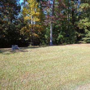Photo #12 of 1445 Morgarts Beach Road, Smithfield, Virginia 17.9 acres