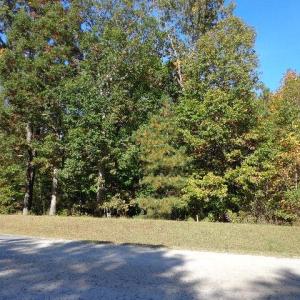 Photo #15 of 1445 Morgarts Beach Road, Smithfield, Virginia 17.9 acres