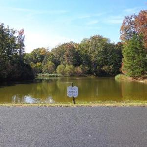 Photo #1 of 1445 Morgarts Beach Road, Smithfield, Virginia 17.9 acres