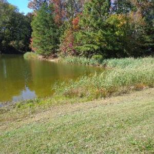 Photo #3 of 1445 Morgarts Beach Road, Smithfield, Virginia 17.9 acres