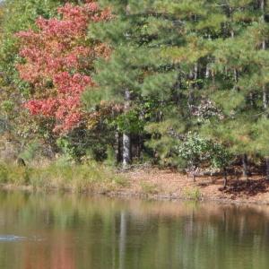 Photo #7 of 1445 Morgarts Beach Road, Smithfield, Virginia 17.9 acres