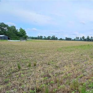 Photo #3 of 4345 Ballahack Road, Chesapeake, Virginia 1.1 acres