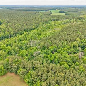 Photo #12 of 1101 Cypress Chapel Road, Suffolk, Virginia 18.7 acres