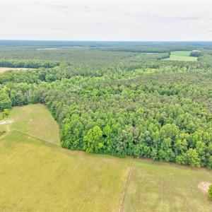 Photo #13 of 1101 Cypress Chapel Road, Suffolk, Virginia 18.7 acres