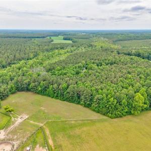 Photo #14 of 1101 Cypress Chapel Road, Suffolk, Virginia 18.7 acres