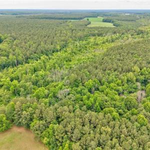 Photo #12 of 1101 Cypress Chapel Road, Suffolk, Virginia 18.7 acres