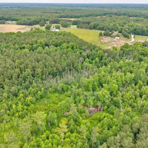 Photo #18 of 1101 Cypress Chapel Road, Suffolk, Virginia 18.7 acres