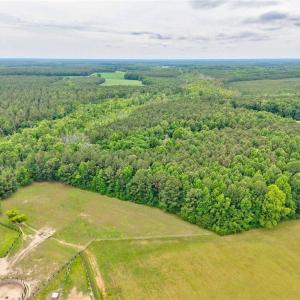 Photo #10 of 1101 Cypress Chapel Road, Suffolk, Virginia 18.7 acres