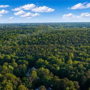 Photo #3 of 10+AC Pikes Way, Gloucester, Virginia 14.0 acres