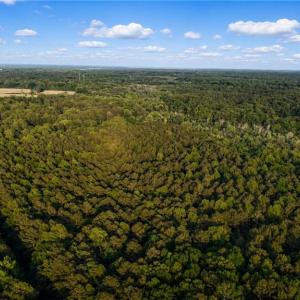 Photo #4 of 10+AC Pikes Way, Gloucester, Virginia 14.0 acres