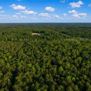 Photo #5 of 10+AC Pikes Way, Gloucester, Virginia 14.0 acres