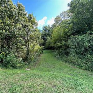 Photo #4 of 1915 Arlington Avenue, Norfolk, Virginia 0.8 acres