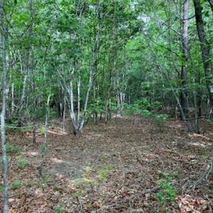 Photo #4 of .55acs Nottoway Drive, Courtland, Virginia 0.6 acres