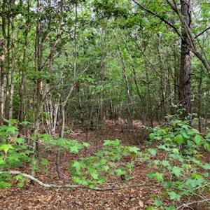 Photo #5 of .55acs Nottoway Drive, Courtland, Virginia 0.6 acres