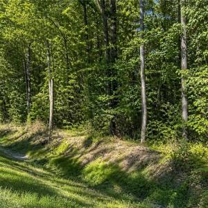 Photo #1 of 28 Johnstown Crescent, Chesapeake, Virginia 29.0 acres