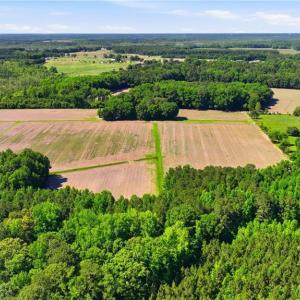 Photo #11 of 1229 Princess Anne Road, Virginia Beach, Virginia 108.0 acres