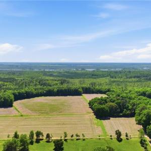 Photo #5 of 1229 Princess Anne Road, Virginia Beach, Virginia 108.0 acres