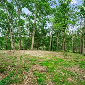 Photo #12 of 1015 Wilton Coves Drive, Hartfield, Virginia 0.7 acres