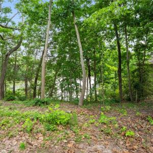 Photo #13 of 1015 Wilton Coves Drive, Hartfield, Virginia 0.7 acres