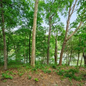 Photo #14 of 1015 Wilton Coves Drive, Hartfield, Virginia 0.7 acres