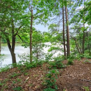 Photo #15 of 1015 Wilton Coves Drive, Hartfield, Virginia 0.7 acres