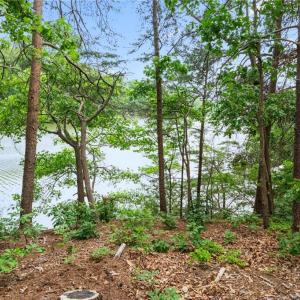 Photo #16 of 1015 Wilton Coves Drive, Hartfield, Virginia 0.7 acres