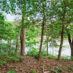 Photo #3 of 1015 Wilton Coves Drive, Hartfield, Virginia 0.7 acres