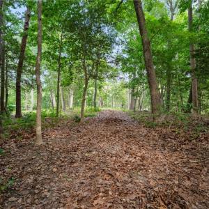 Photo #10 of 1015 Wilton Coves Drive, Hartfield, Virginia 0.7 acres