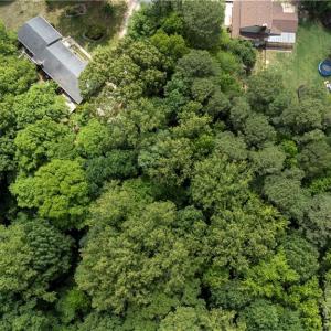 Photo #3 of 105 Lorac Court, Williamsburg, Virginia 1.2 acres