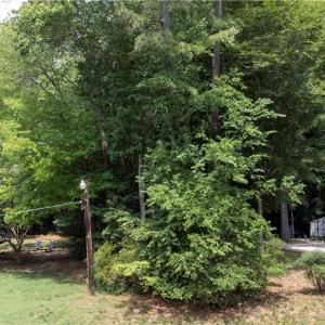 Photo #5 of 105 Lorac Court, Williamsburg, Virginia 1.2 acres