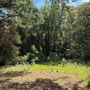 Photo #2 of 2524 Battlefield Boulevard, Chesapeake, Virginia 2.0 acres