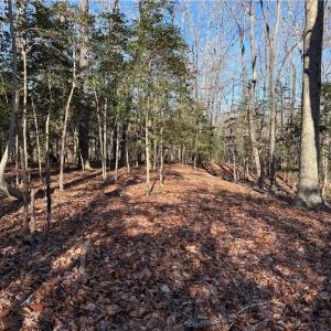 Photo #2 of 5 Meadow Circle, Williamsburg, Virginia 19.7 acres