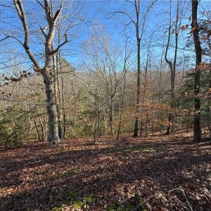 Photo #3 of 5 Meadow Circle, Williamsburg, Virginia 19.7 acres