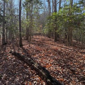 Photo #4 of 5 Meadow Circle, Williamsburg, Virginia 19.7 acres